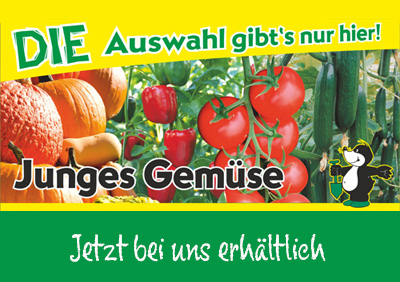 Junges Gemüse